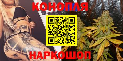 apvp Кингисепп