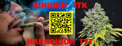 apvp Кингисепп