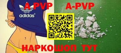 apvp Кингисепп