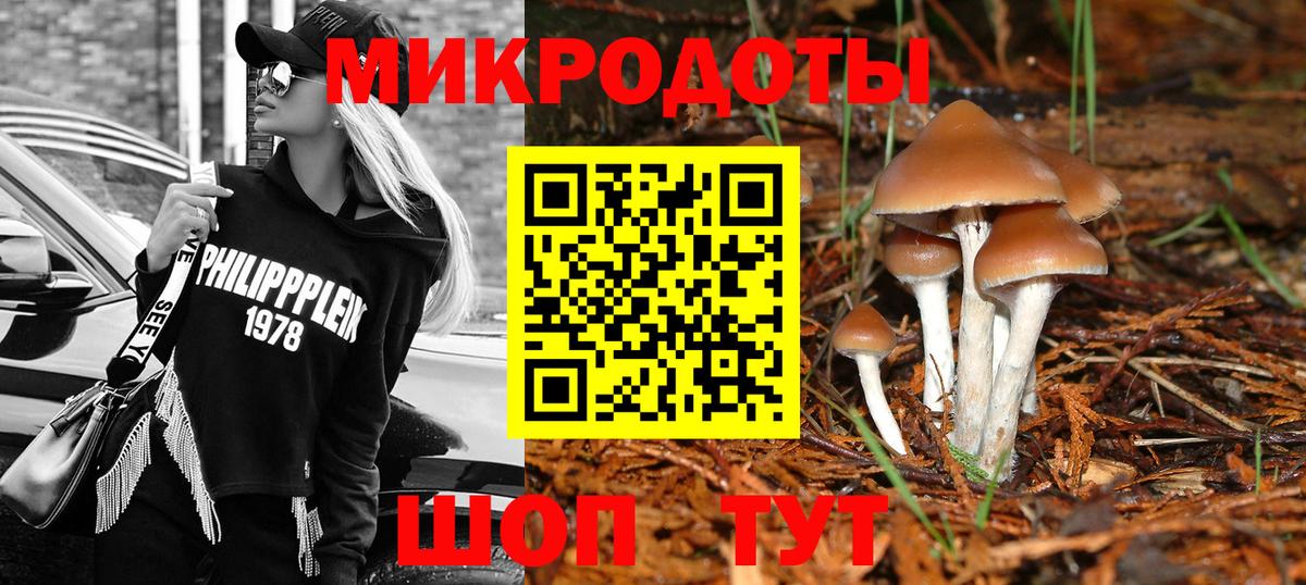 Галлюциногенные грибы MAGIC MUSHROOMS Каспийск